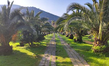 Leon Propiedades vende hermosa parcela de 1ha. con casa en sector los Naranjos, Curacaví.