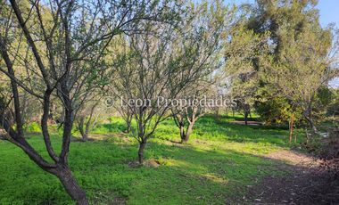 Leon Propiedades vende hermosa parcela de 1ha. con casa en sector los Naranjos, Curacaví.