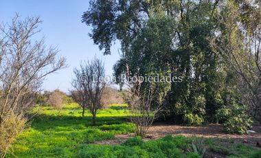 Leon Propiedades vende hermosa parcela de 1ha. con casa en sector los Naranjos, Curacaví.