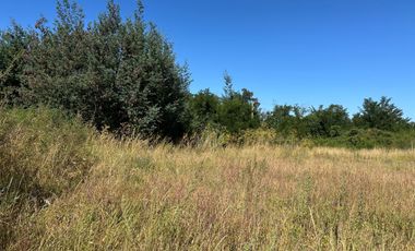 Nuevo precio. Venta parcela 1 hectárea orilla de Camino - Las Mariposas Km 17,5 Chillán