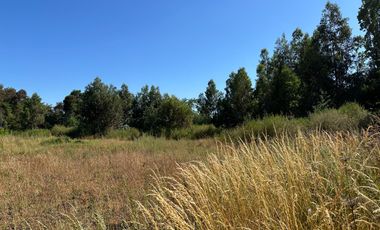 Nuevo precio. Venta parcela 1 hectárea orilla de Camino - Las Mariposas Km 17,5 Chillán