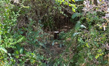 Nuevo precio. Venta parcela 1 hectárea orilla de Camino - Las Mariposas Km 17,5 Chillán