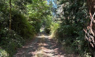 Nuevo precio. Venta parcela 1 hectárea orilla de Camino - Las Mariposas Km 17,5 Chillán