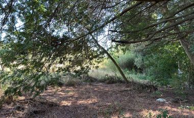 Nuevo precio. Venta parcela 1 hectárea orilla de Camino - Las Mariposas Km 17,5 Chillán