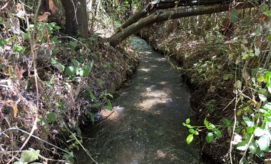 Nuevo precio. Venta parcela 1 hectárea orilla de Camino - Las Mariposas Km 17,5 Chillán