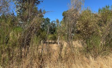 Nuevo precio. Venta parcela 1 hectárea orilla de Camino - Las Mariposas Km 17,5 Chillán