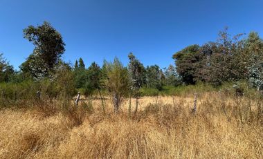 Nuevo precio. Venta parcela 1 hectárea orilla de Camino - Las Mariposas Km 17,5 Chillán