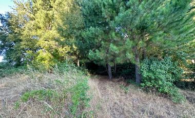 Venta 2 hermosas parcelas de 5.000 mts2 c/u - Pinto, Ñuble