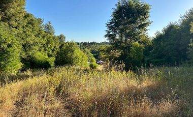 Venta 2 hermosas parcelas de 5.000 mts2 c/u - Pinto, Ñuble