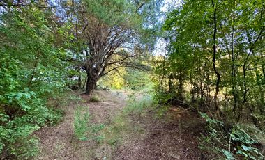 Venta 2 hermosas parcelas de 5.000 mts2 c/u - Pinto, Ñuble