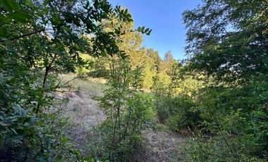 Venta 2 hermosas parcelas de 5.000 mts2 c/u - Pinto, Ñuble