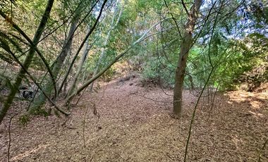 Venta 2 hermosas parcelas de 5.000 mts2 c/u - Pinto, Ñuble