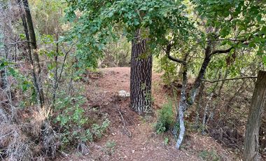 Venta 2 hermosas parcelas de 5.000 mts2 c/u - Pinto, Ñuble