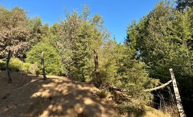 Venta 2 hermosas parcelas de 5.000 mts2 c/u - Pinto, Ñuble