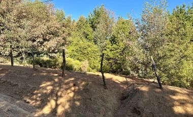 Venta 2 hermosas parcelas de 5.000 mts2 c/u - Pinto, Ñuble