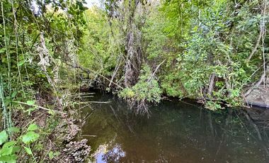 Venta 2 hermosas parcelas de 5.000 mts2 c/u - Pinto, Ñuble