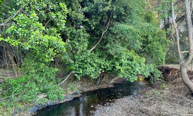 Venta 2 hermosas parcelas de 5.000 mts2 c/u - Pinto, Ñuble