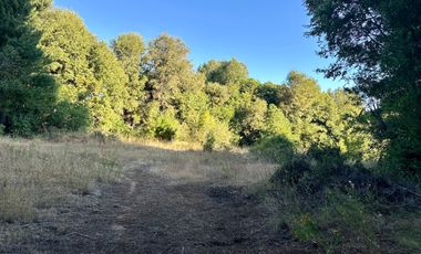 Venta 2 hermosas parcelas de 5.000 mts2 c/u - Pinto, Ñuble