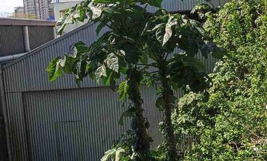 Se Vende Propiedad Comercial Concepción Centro