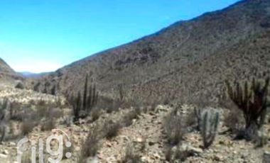 Terreno Agrícola en Venta, La Higuera, Tres Cruces, Coquimbo