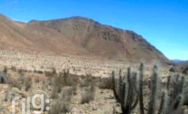 Terreno Agrícola en Venta, La Higuera, Tres Cruces, Coquimbo