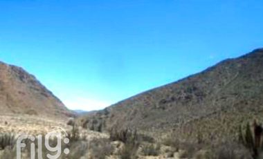 Terreno Agrícola en Venta, La Higuera, Tres Cruces, Coquimbo