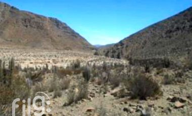 Terreno Agrícola en Venta, La Higuera, Tres Cruces, Coquimbo