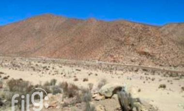 Terreno Agrícola en Venta, La Higuera, Tres Cruces, Coquimbo