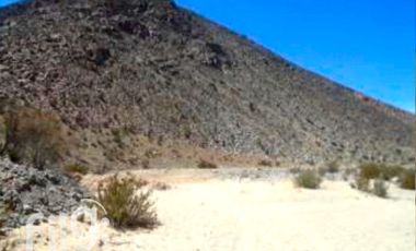 Terreno Agrícola en Venta, La Higuera, Tres Cruces, Coquimbo