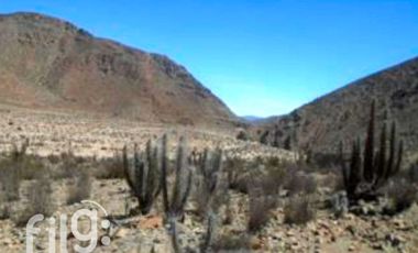 Terreno Agrícola en Venta, La Higuera, Tres Cruces, Coquimbo