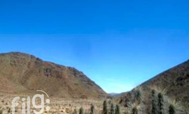 Terreno Agrícola en Venta, La Higuera, Tres Cruces, Coquimbo