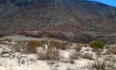 Terreno Agrícola en Venta, La Higuera, Tres Cruces, Coquimbo