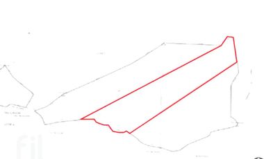 Terreno Agrícola en Venta, La Higuera, Tres Cruces, Coquimbo