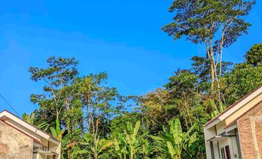 Rumah Modern Minimalis