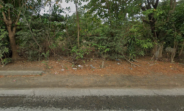 Commercial Lot for sale in Valdefuente-Fortaleza Road, Lourdes, Lagare, Cabanatuan, Nueva Ecija