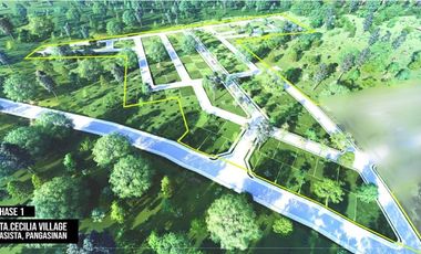 Individual Title under Developer's name