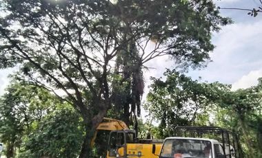 Individual Title under Developer's name