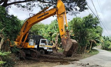 Individual Title under Developer's name