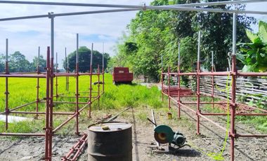 Individual Title under Developer's name