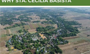 Individual Title under Developer's name