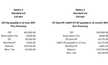 Individual Title under Developer's name