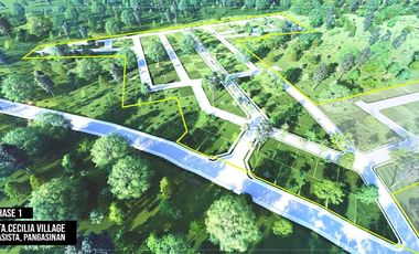 Individual Title under Developer's name