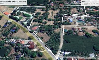 Individual Title under Developer's name