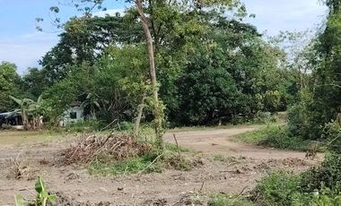 Individual Title under Developer's name