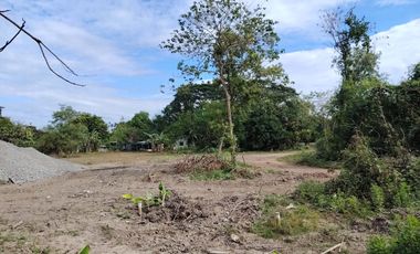 Individual Title under Developer's name