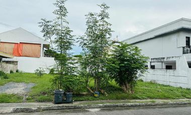 Lot Property For Sale Located in Maywood Village 1, President’s Avenue, Barangay BF Homes, Parañaque City, Metro Manila