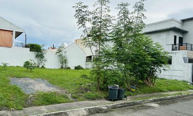 Lot Property For Sale Located in Maywood Village 1, President’s Avenue, Barangay BF Homes, Parañaque City, Metro Manila