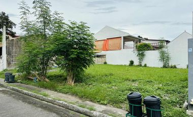 Lot Property For Sale Located in Maywood Village 1, President’s Avenue, Barangay BF Homes, Parañaque City, Metro Manila