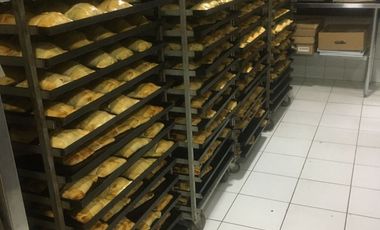 En venta espectacular parcela - negocio en Chicureo