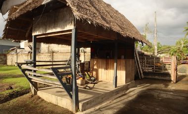 House and Lot for Sale in Poblacion, Inabanga, Bohol